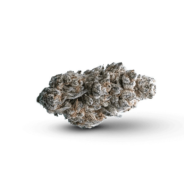 THCa Flower - Sex Panther THCa Flower - Sex Panther