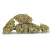 Northern-Lights-Group-Nugs-colors-7669-1-100×100 Northern-Lights-Group-Nugs-colors-7669-1-100×100