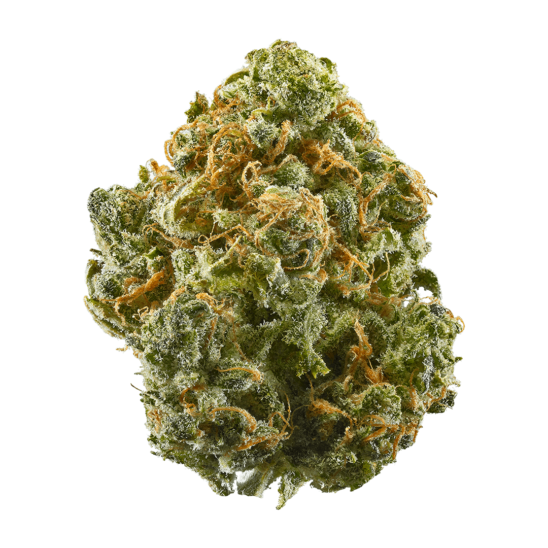 Blue Dream - THCa Flower Blue Dream - THCa Flower