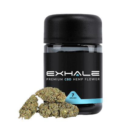 Exhale Wellness Northern Lights Exhale Wellness Northern Lights